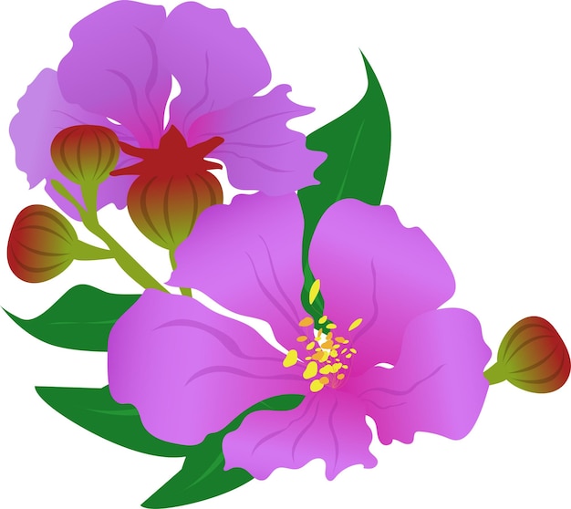 Flor púrpura de Lagerstroemia speciosa de la flor de indianQueen también conocida como crepemyrtle gigante
