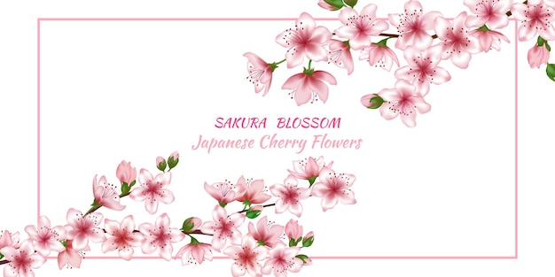 Flor ramas vector marco ilustración árbol flor flores frontera plantilla para tarjeta o banner diseño realista borde blanco fondo rosa ramas de flor de cerezo rosa capullos en ramitas