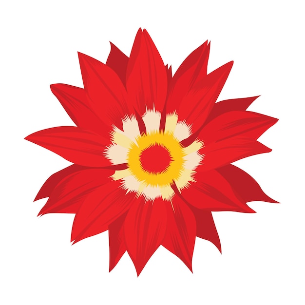 FLOR ROJA DE PRIMAVERA