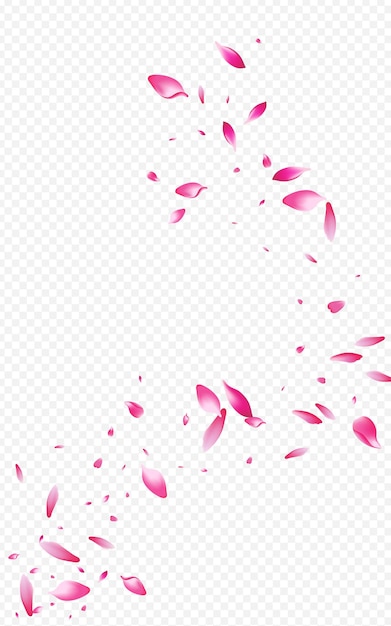 Flor Roja Volando Vector Fondo Transparente Telón De Fondo Floral Japonés Pétalo Rosa Desenfoque Diseño Hermoso Fondo De Pantalla De Mosca De Melocotón