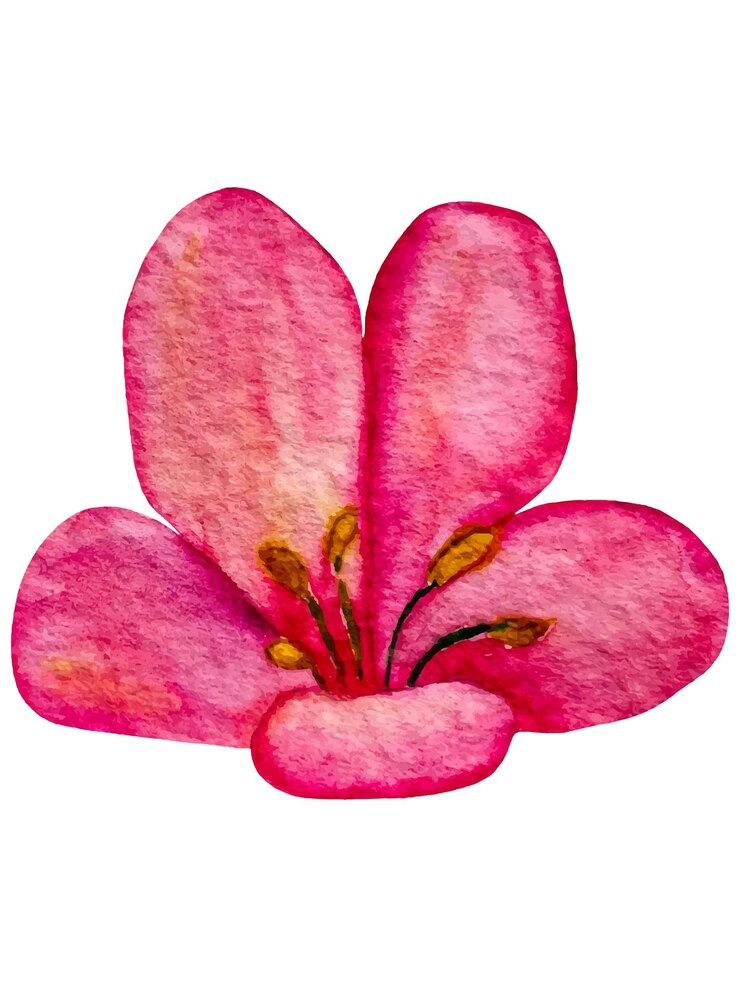 Vector flor rosa acuarela dibujada a mano de weigela