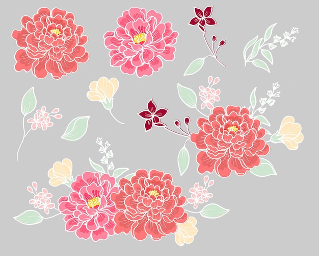 Flor de rosa dibujada a mano