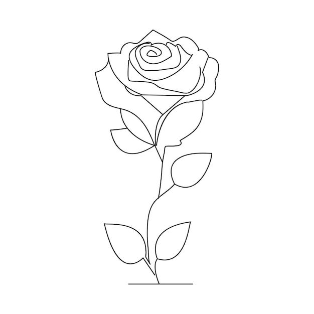 Flor de rosa dibujo continuo de una línea de ilustración vectorial de contorno