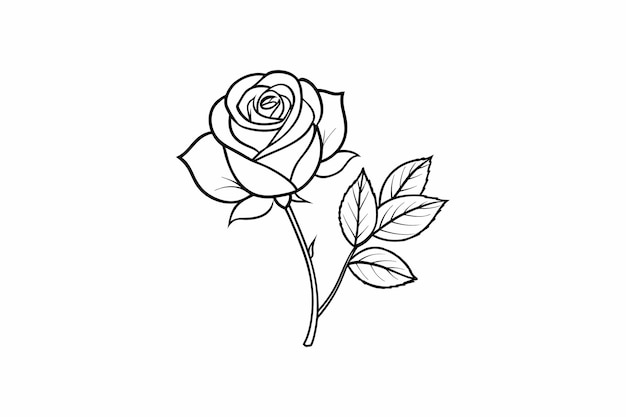 Flor de rosa para elemento de diseño y páginas de libros para colorear para niños