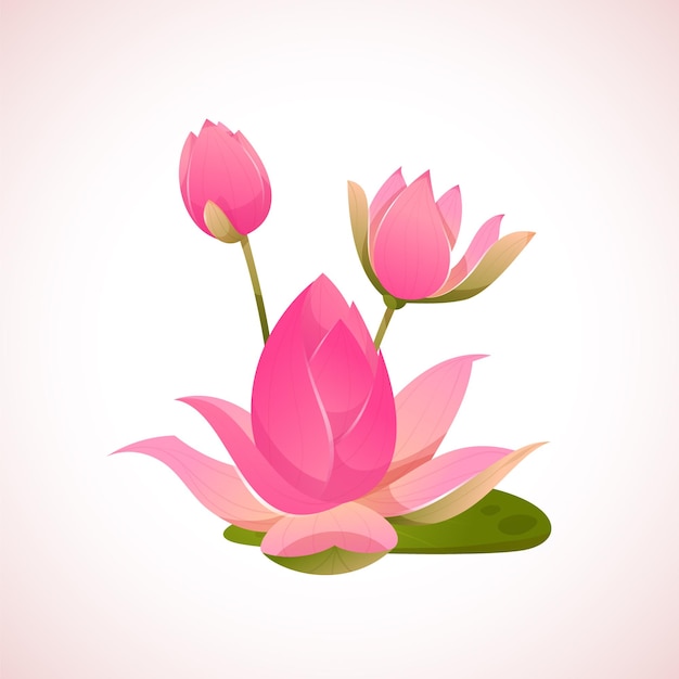Una flor rosa con una flor rosa