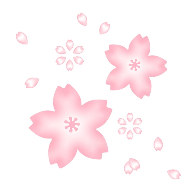 La flor de Sakura y el conjunto de pétalos de la flor de cereza rosa suave clipart