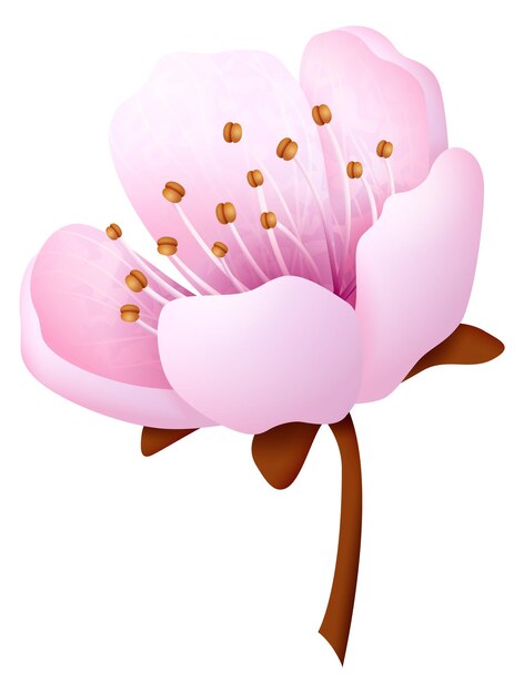 Flor de sakura Flor rosa Elemento floral decorativo