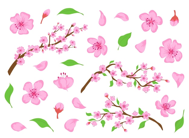 Flor de sakura rosa flores, brotes, hojas y ramas de árboles. Elementos florales de la cereza japonesa de primavera. Conjunto de vector de flor de flor de manzana o melocotón. Follaje y floración tradicional asiática natural