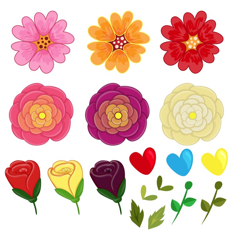 Flor de San Valentín establece elementos
