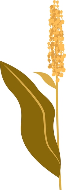 Flor silvestre en el tallo