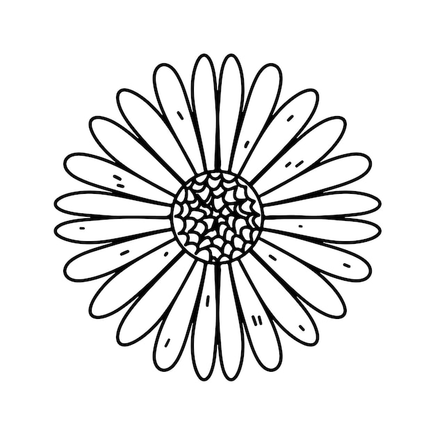 Flor simple como manzanilla en estilo garabato Ilustración vectorial aislada en blanco Página para colorear