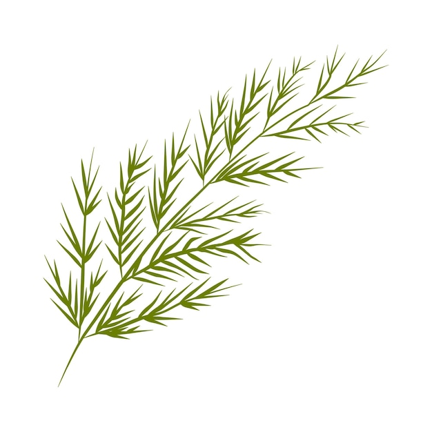 flor sobre fondo blanco Los elementos están aislados en un fondo blanco. Diseño para imprimir en tarjetas
