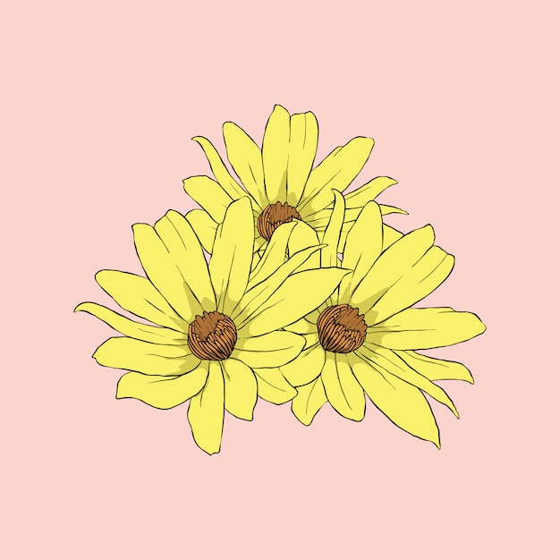 Vector flor de sol amarillo en arte de línea de fondo rosa