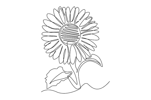 Flor de sol de dibujo de una sola línea Concepto de flor hermosa Ilustración de vector gráfico de diseño de dibujo de línea continua