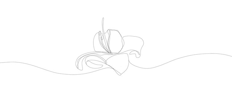 Vector flor en un solo estilo de dibujo de línea continua para logotipo o emblema