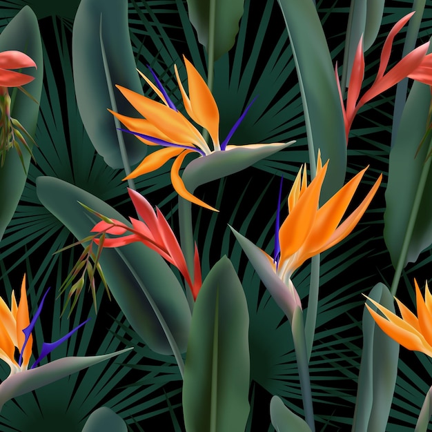 Vector flor de strelitzia reginae también conocida como flor de grúa o ave del paraíso y billbergia sin costuras