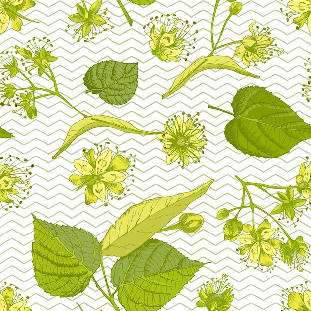 Flor de tilo dibujada a mano de patrones sin fisuras con vidas de flores y ramas en colores amarillo y verde sobre fondo blanco Diseño gráfico vintage retro Dibujo botánico