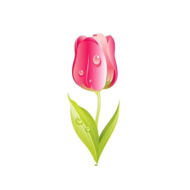 Flor de tulipán rojo icono floral Dibujos animados realistas linda planta flor primavera verano jardín vector