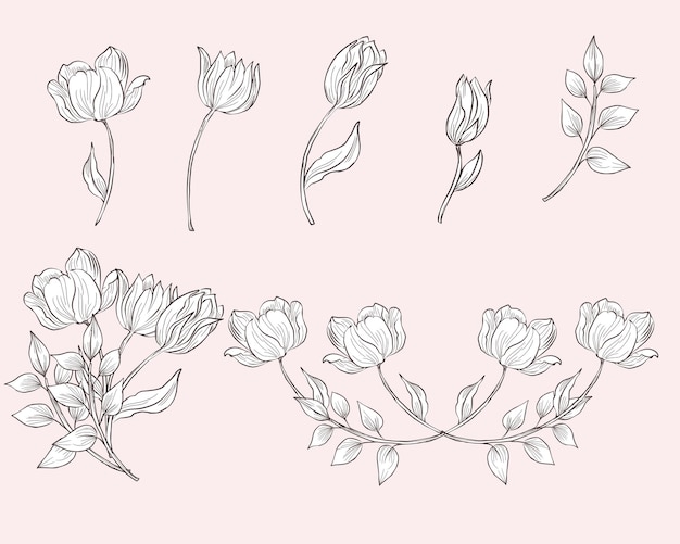 Flor De Tulipán Vintage Dibujada A Mano