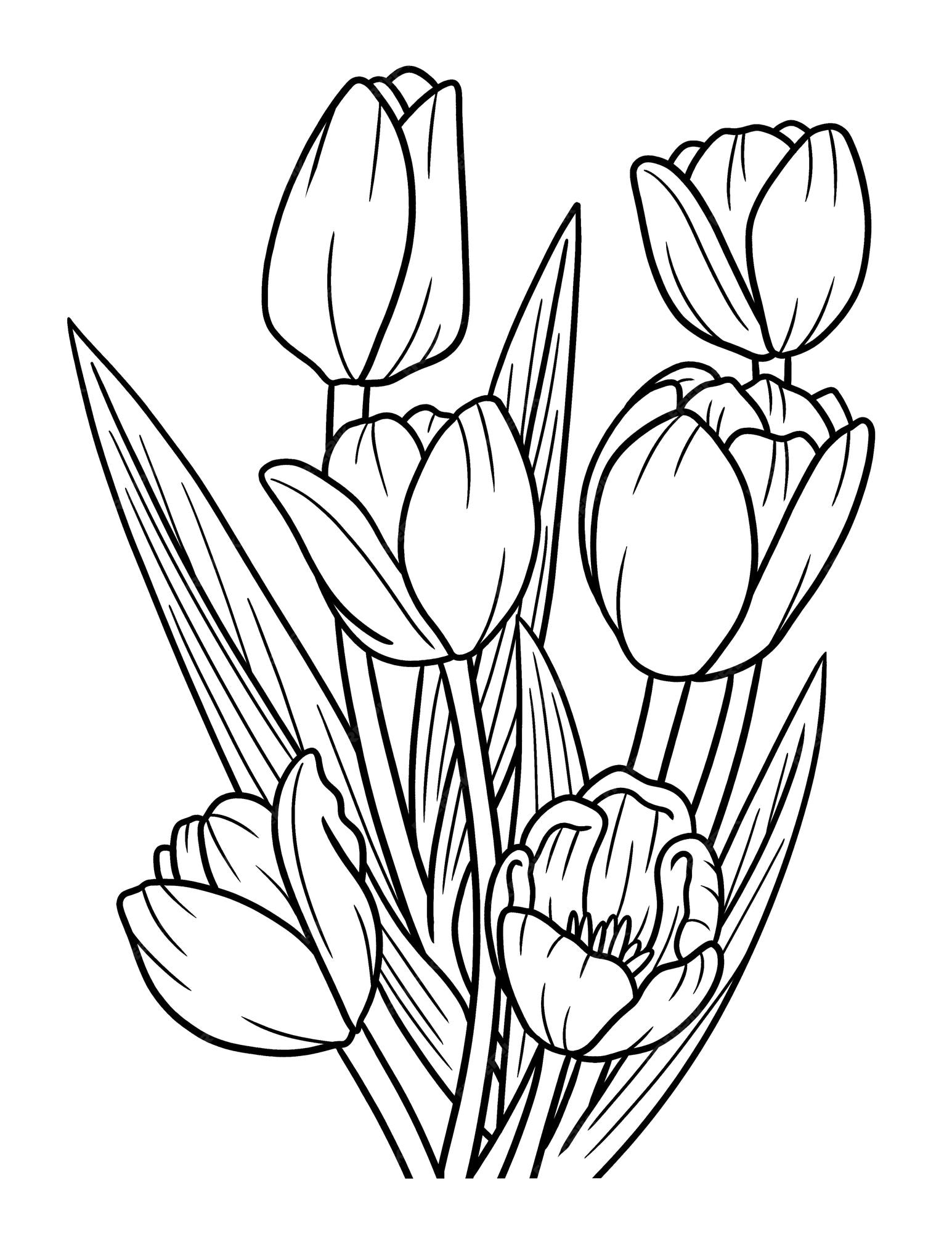 Flor de tulipanes página para colorear para adultos | Vector Premium Flor de tulipanes página para colorear para adultos | Vector Premium