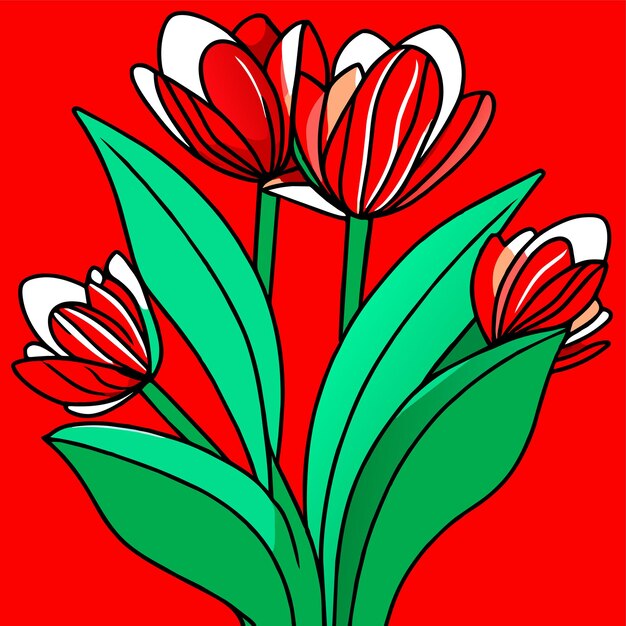 Vector la flor de los tulipanes