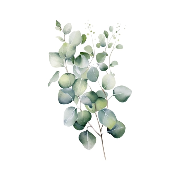 Flor verde acuarela con ramas aisladas sobre un fondo blanco