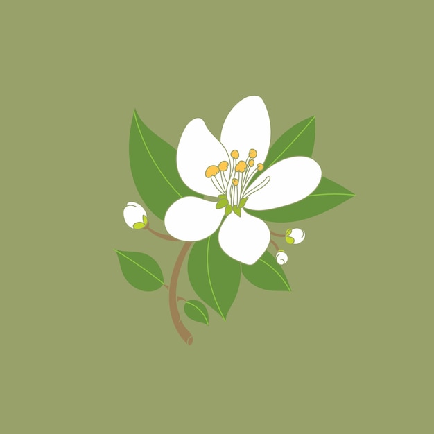 una flor verde y blanca con la palabra primavera en ella