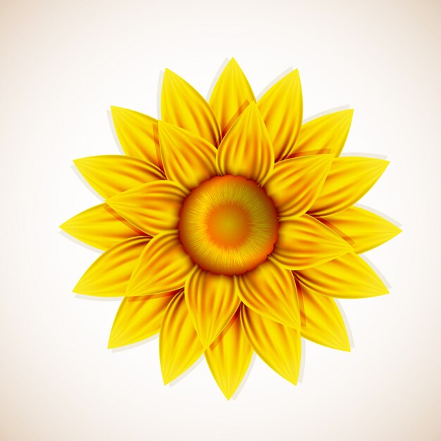 La flor