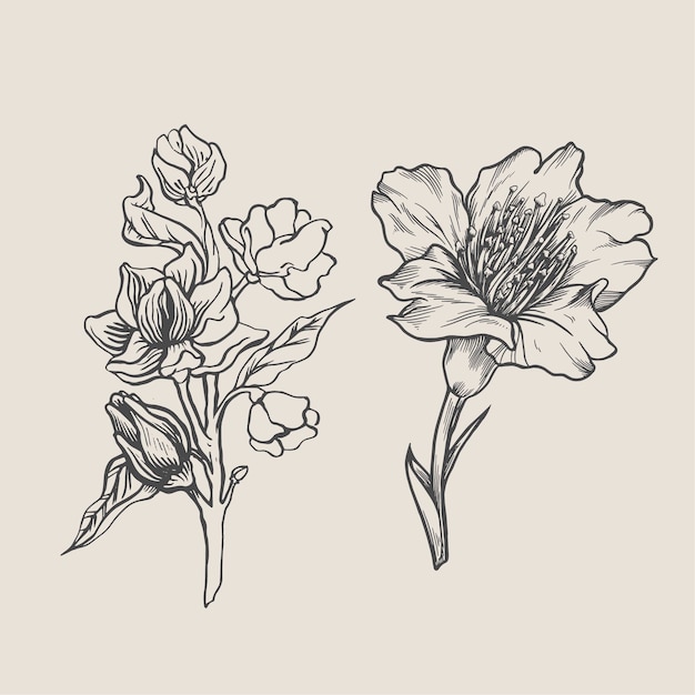 La flor