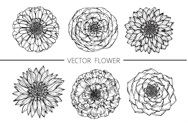 Vector flor