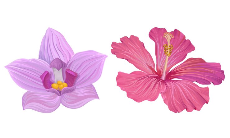 Vector flora tropical con conjunto de vectores de flores de hibisco y orquídea