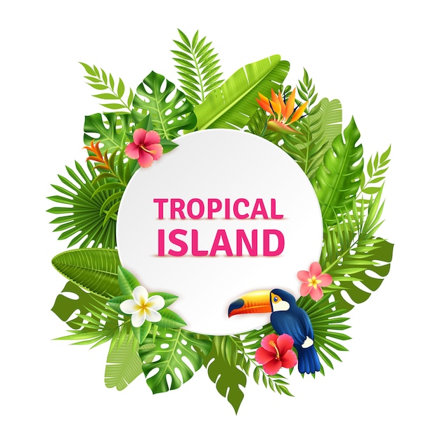 Flora tropical isla y marco tucán