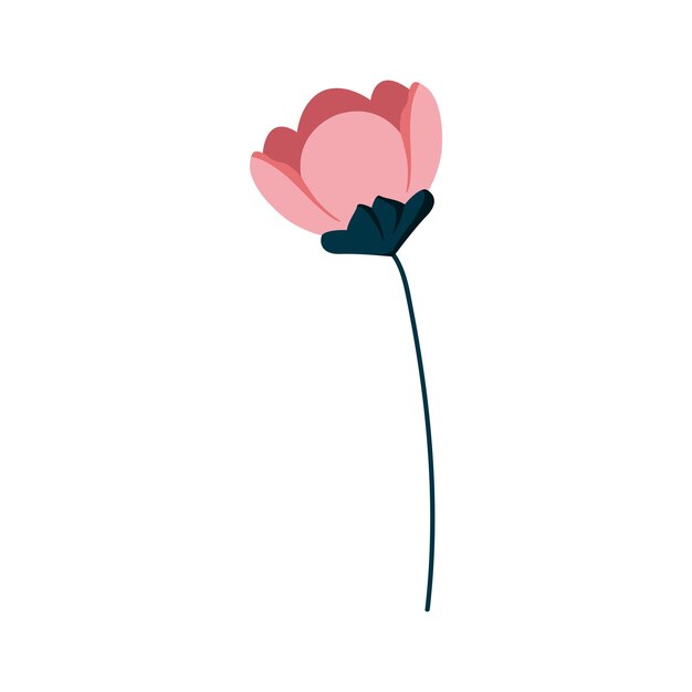 Floral y botánico Follaje de hojas flores plantas florecen hojas dibujadas a mano de la temporada de primavera de la flor