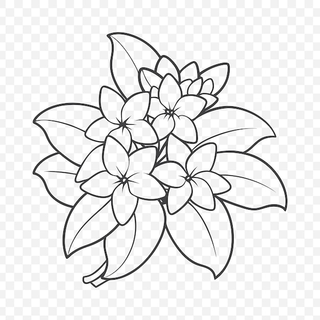 Floral Bunch con Stephanotis hermoso diseño vectorial de arte de línea para amantes de la naturaleza y las flores