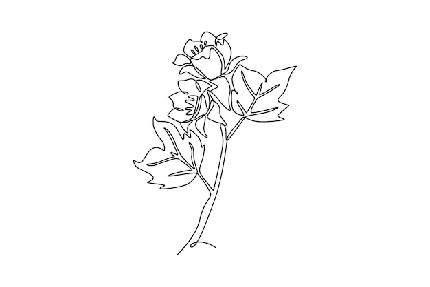 Floral con concepto de rama Diseño de dibujo de línea única Ilustración gráfica vectorial