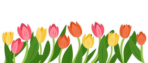 Floral illustration of colorful tulips in a flat style