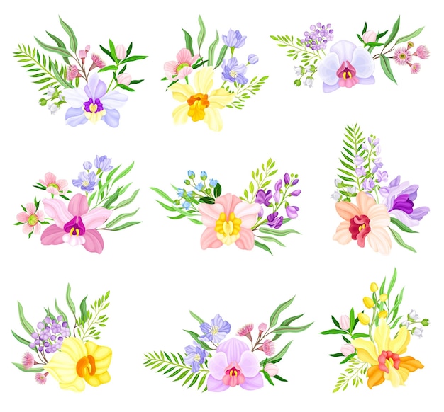 Florece una orquídea perfumada con el labello dispuesto con el conjunto vectorial de ramas florales