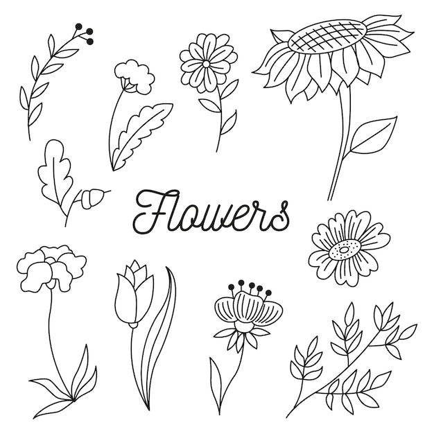 Flores_1