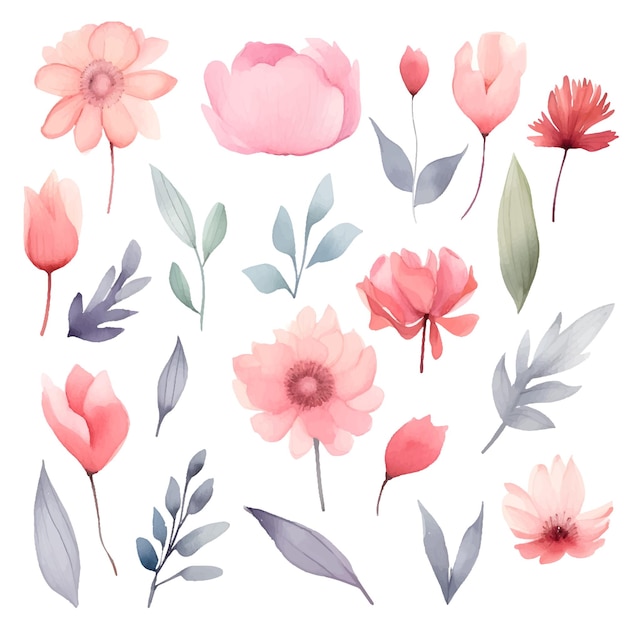 las flores de acuarela clipart png