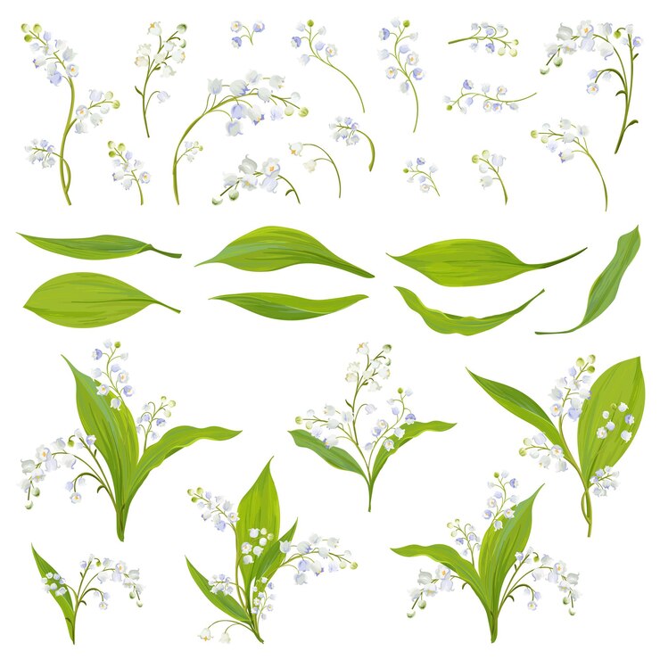Vector flores de acuarela dibujadas a mano de lily valley, hojas y elementos florales para decoración, boda, papel tapiz, tela. conjunto de primavera botánica. ilustración vectorial
