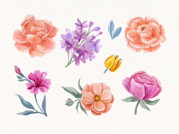 Flores de acuarela pintadas a mano