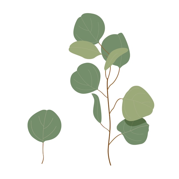 Flores de acuarela de vector botánico Ramo elegante marco de arte botánico aislado