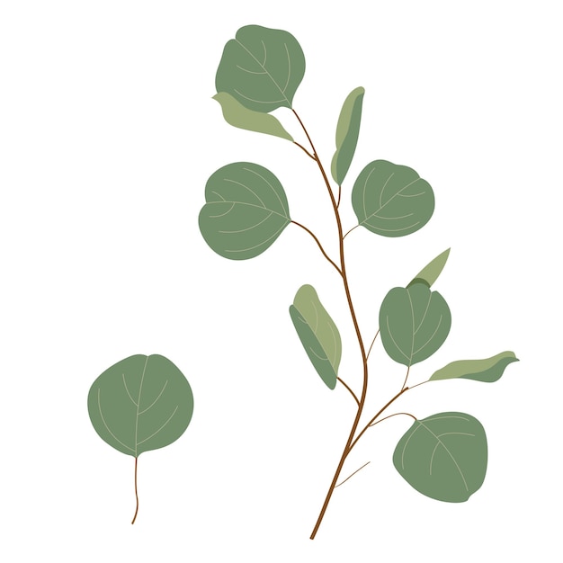 Flores de acuarela de vector botánico Ramo elegante marco de arte botánico aislado