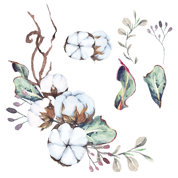 Flores de algodón de composición de acuarela dibujadas a mano para decorar tarjetas de invitación en estilo vintage