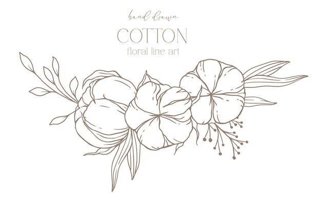 Flores de algodón dibujadas a mano Ilustración de línea de arte Bola de algodó aisladas en blanco Arte de línea floral