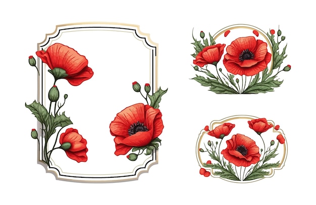 Flores de amapola decoración floral acuarela con marco Ilustración de vector de flor roja dibujada a mano