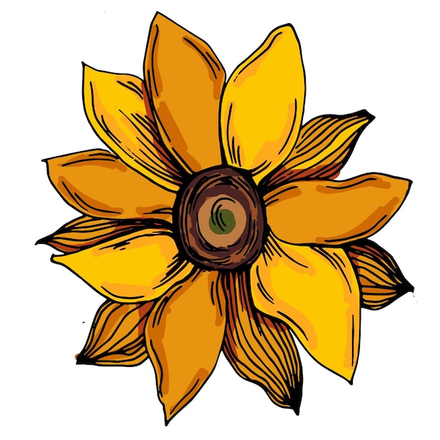 Flores amarillas sobre un fondo blanco Flor de sol Ilustración vectorial sobre un fondo branco Diseño gráfico botánico de grabado