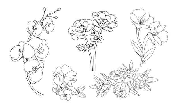 Vector flores de arte lineal21