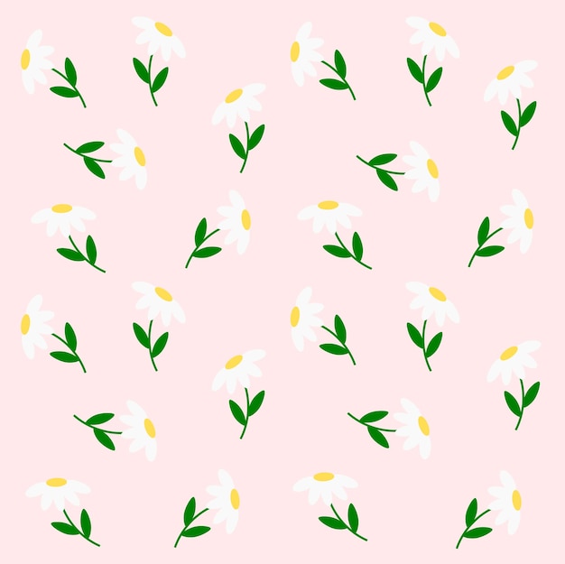 flores blancas sobre un fondo rosado