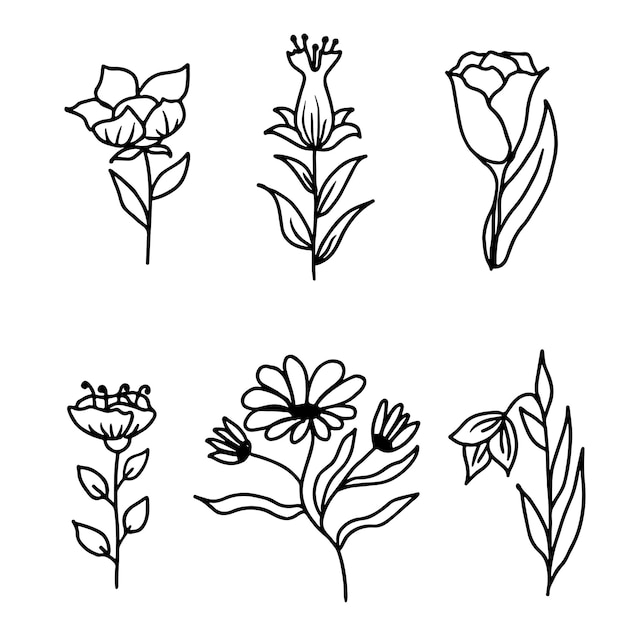 Las flores botánicas establecen elementos florales dibujados a mano de estilo de línea para proyectos de diseño Ilustración vectorial